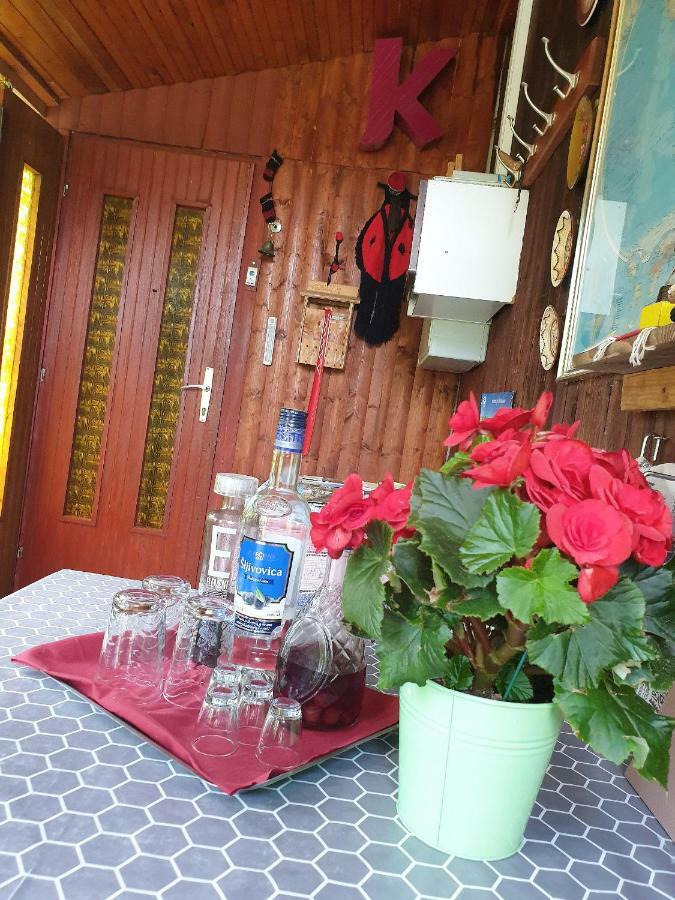 Draga Koncar Guest House Vrelo Koreničko Zewnętrze zdjęcie
