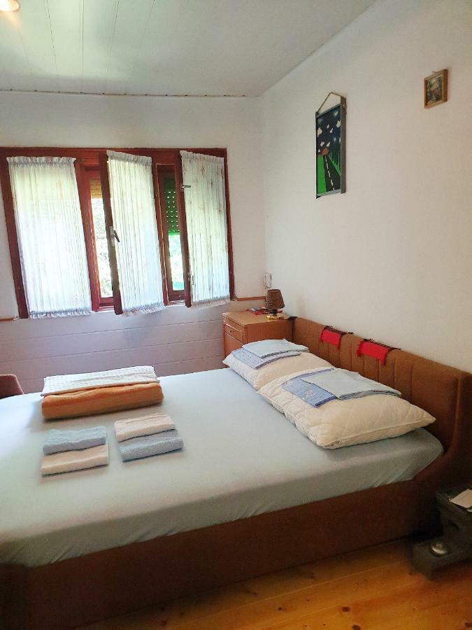 Draga Koncar Guest House Vrelo Koreničko Zewnętrze zdjęcie