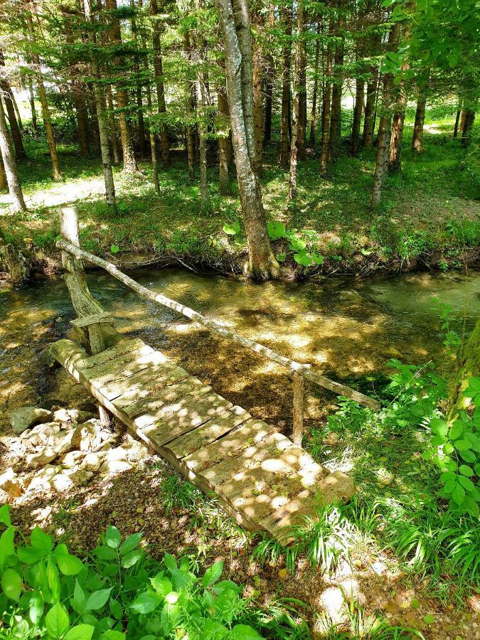 Draga Koncar Guest House Vrelo Koreničko Zewnętrze zdjęcie