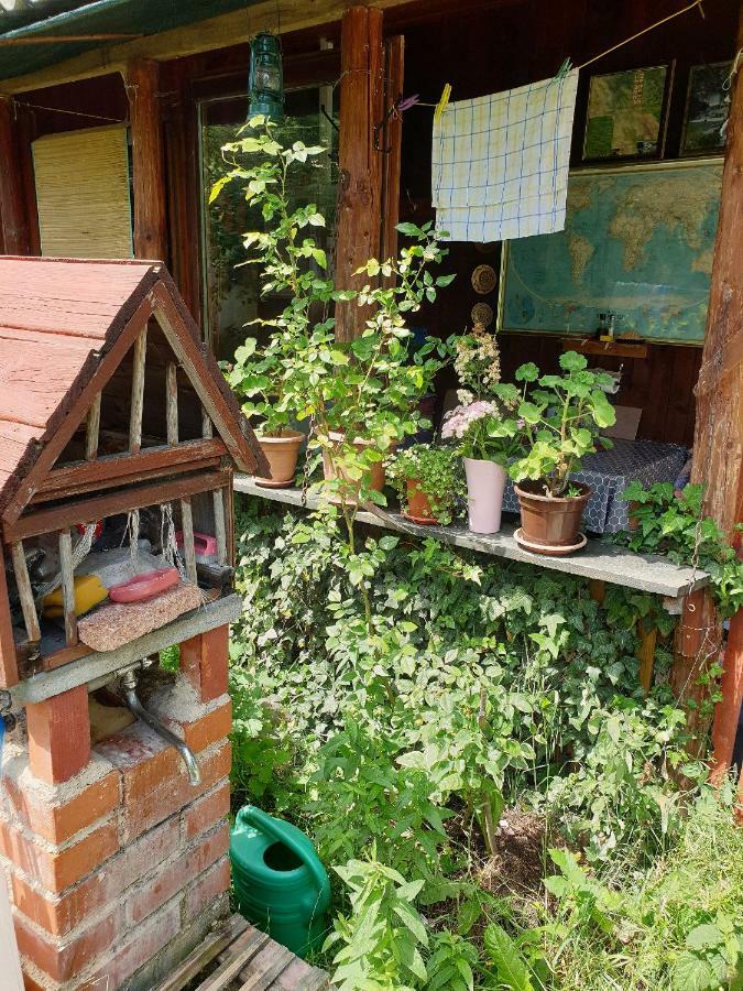 Draga Koncar Guest House Vrelo Koreničko Zewnętrze zdjęcie