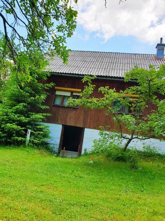 Draga Koncar Guest House Vrelo Koreničko Zewnętrze zdjęcie