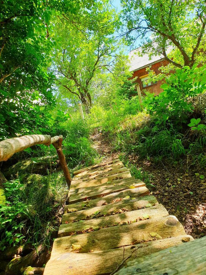 Draga Koncar Guest House Vrelo Koreničko Zewnętrze zdjęcie