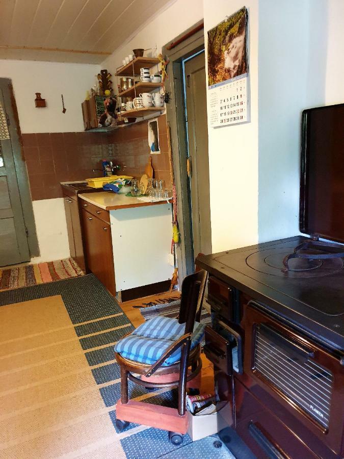Draga Koncar Guest House Vrelo Koreničko Zewnętrze zdjęcie