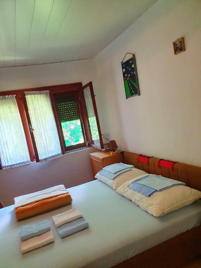 Draga Koncar Guest House Vrelo Koreničko Zewnętrze zdjęcie