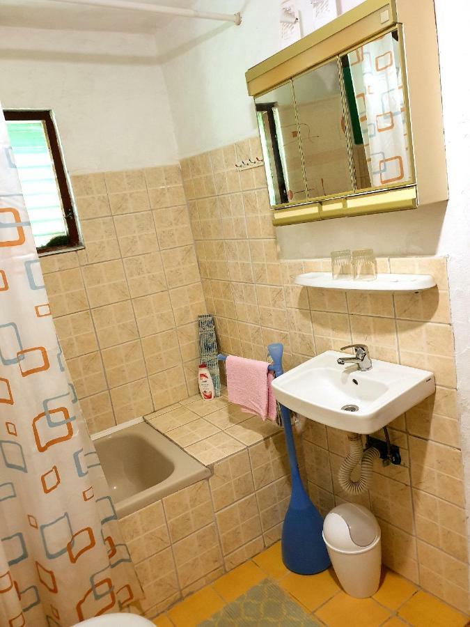 Draga Koncar Guest House Vrelo Koreničko Zewnętrze zdjęcie
